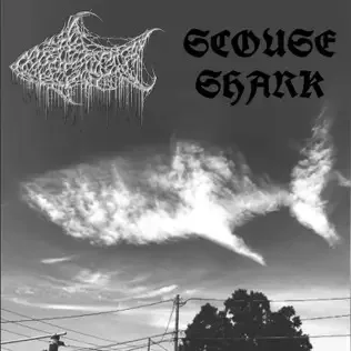 Scouse Shark cover