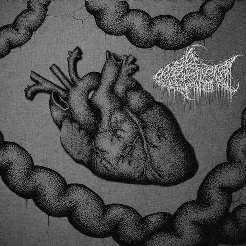 More Gore Por Favor cover