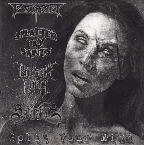Split Your Mind cover