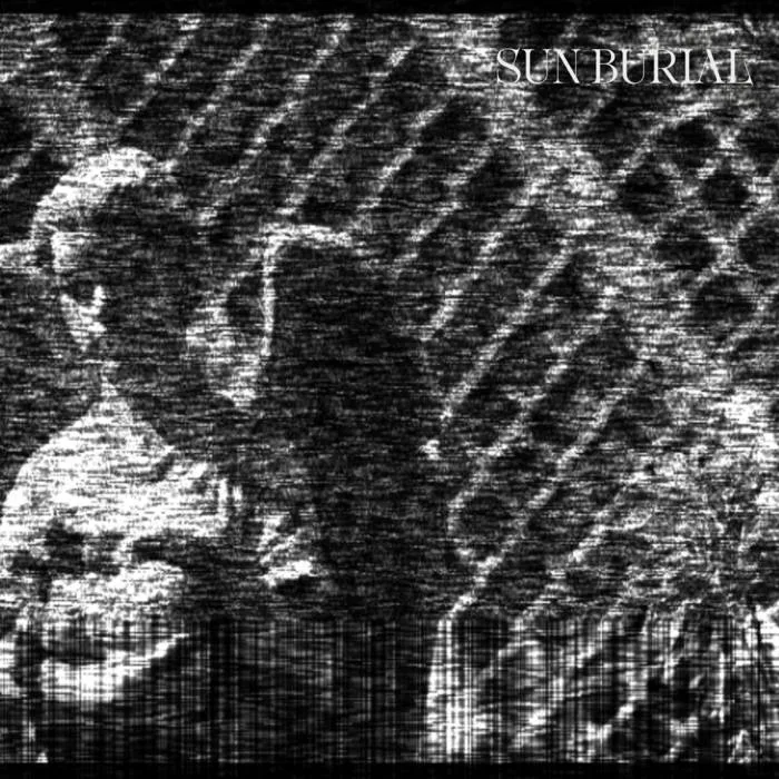 In the Pits of the Longing Fields cover