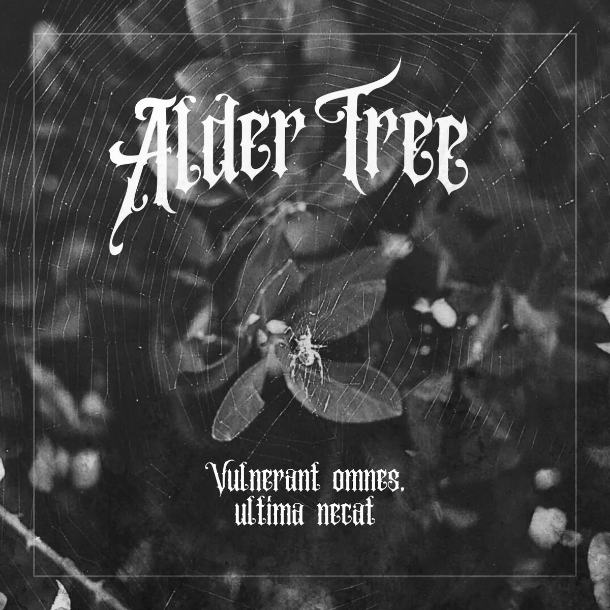 Vulnerant Omnes, Ultima Necat cover