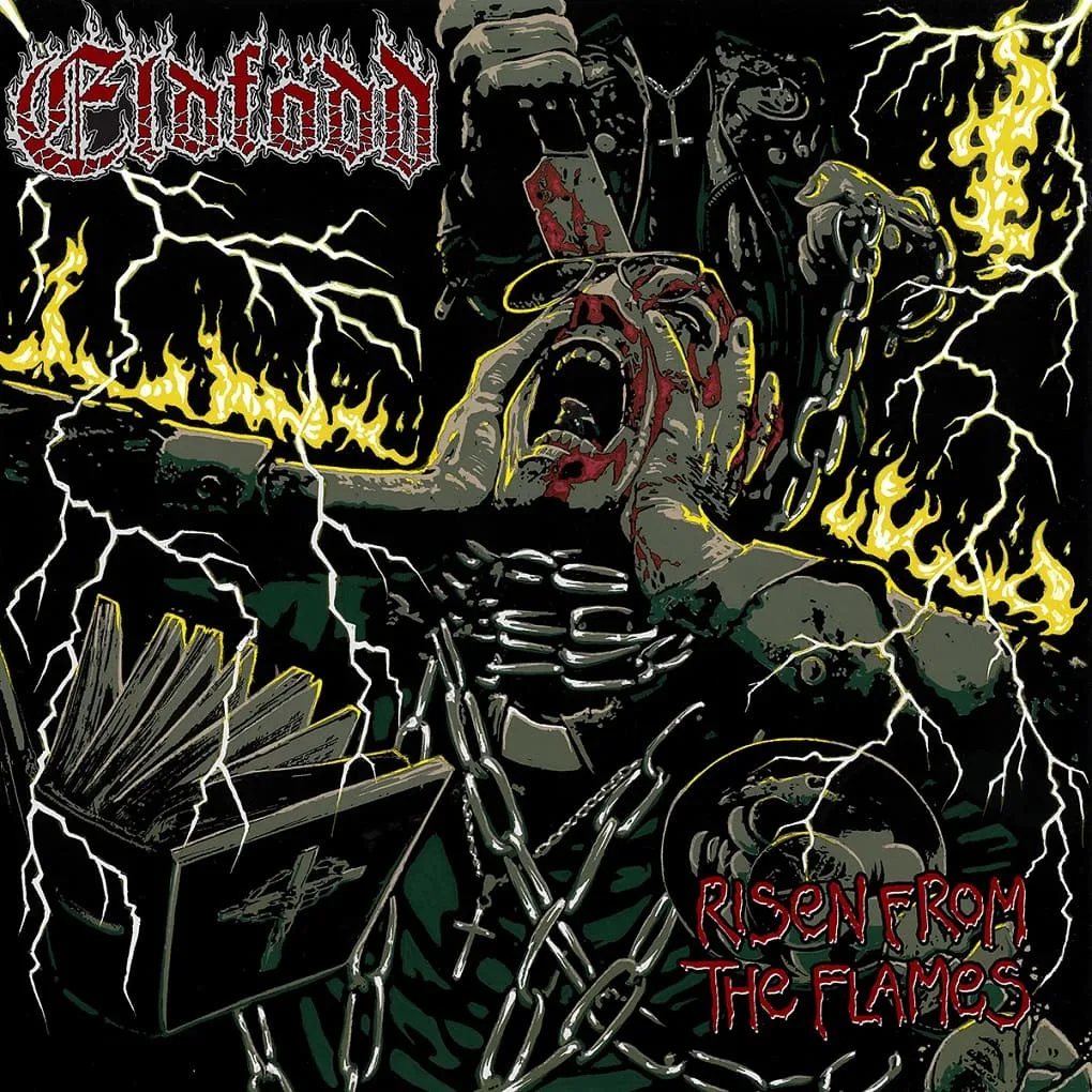 Risen from the Flames cover