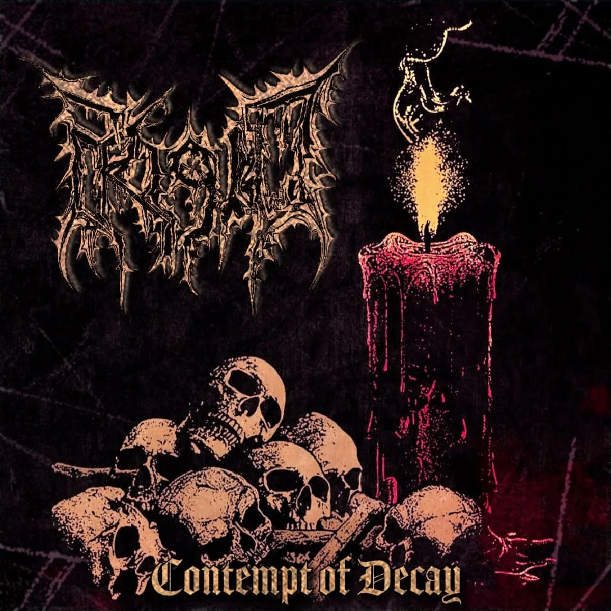 Contempt of Decay cover