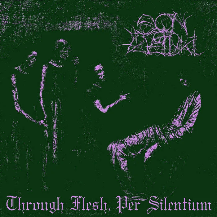 Through Flesh, Per Silentium cover