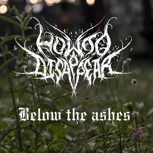 Below the Ashes cover