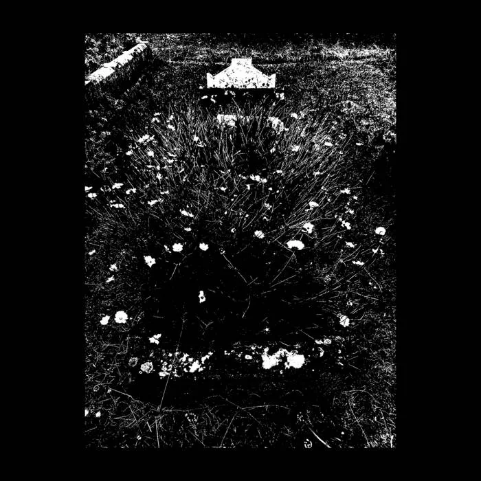 Vibrations Beyond the Living cover