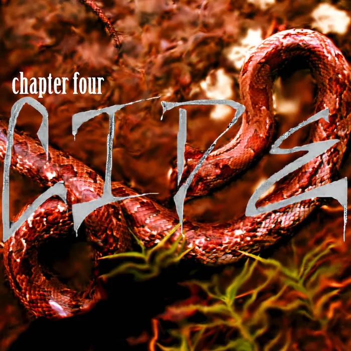 CIDE : Chapter Four cover
