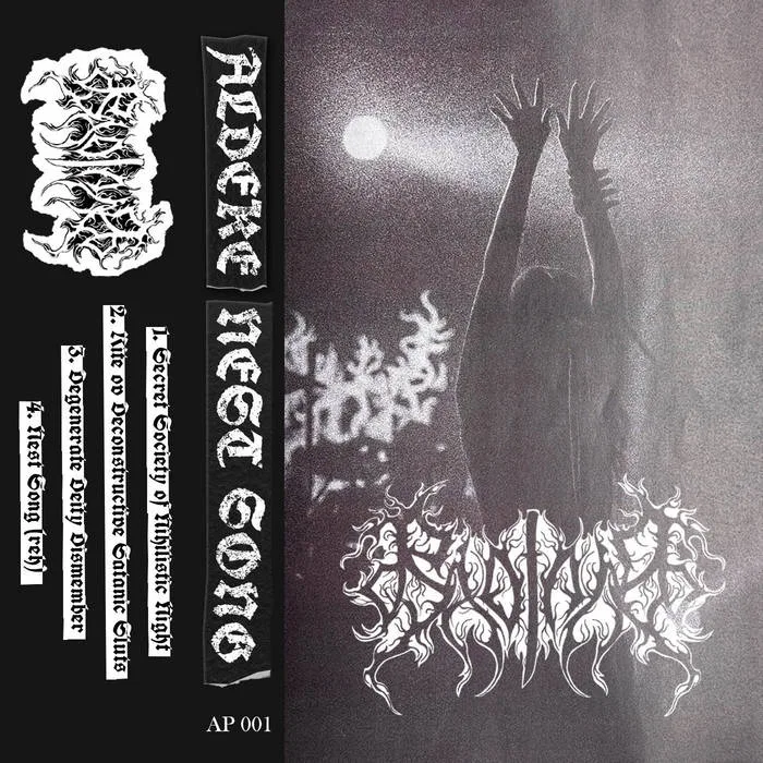 Nest Song 巢歌 cover