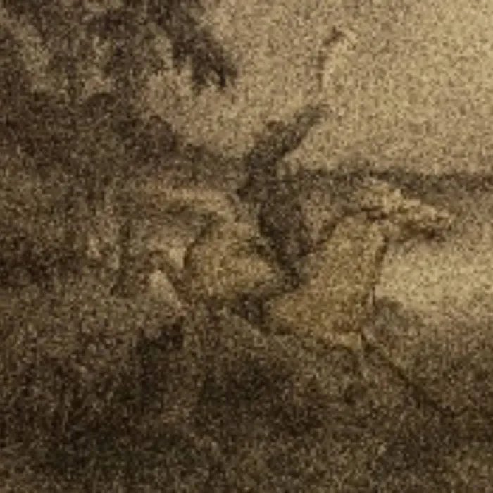 Demo 659 cover
