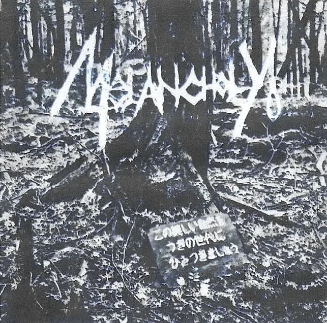 Instrumental Hallucination cover