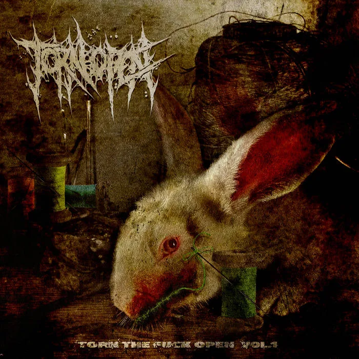 Torn the Fuck Open Vol. 1 cover