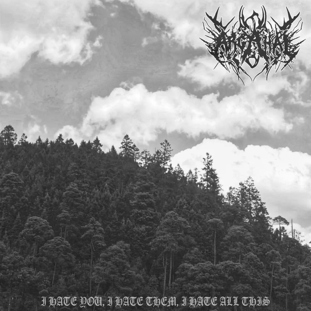 I Hate You, I Hate Them, I Hate All This cover