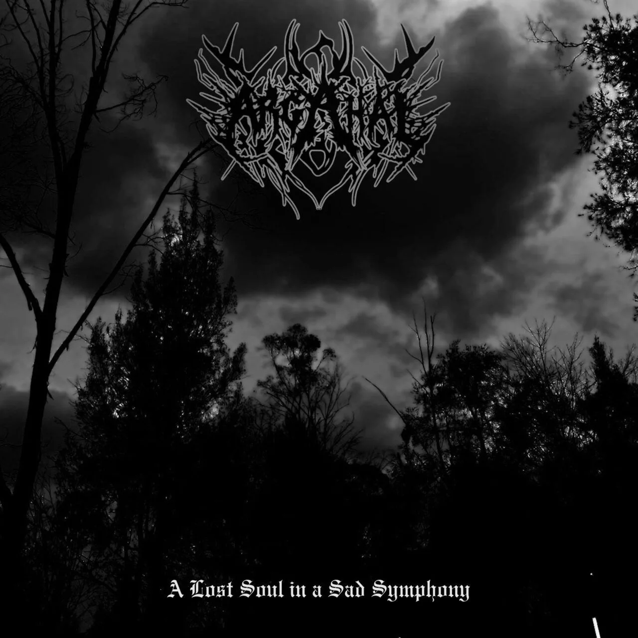 A Lost Soul in a Sad Symphony cover