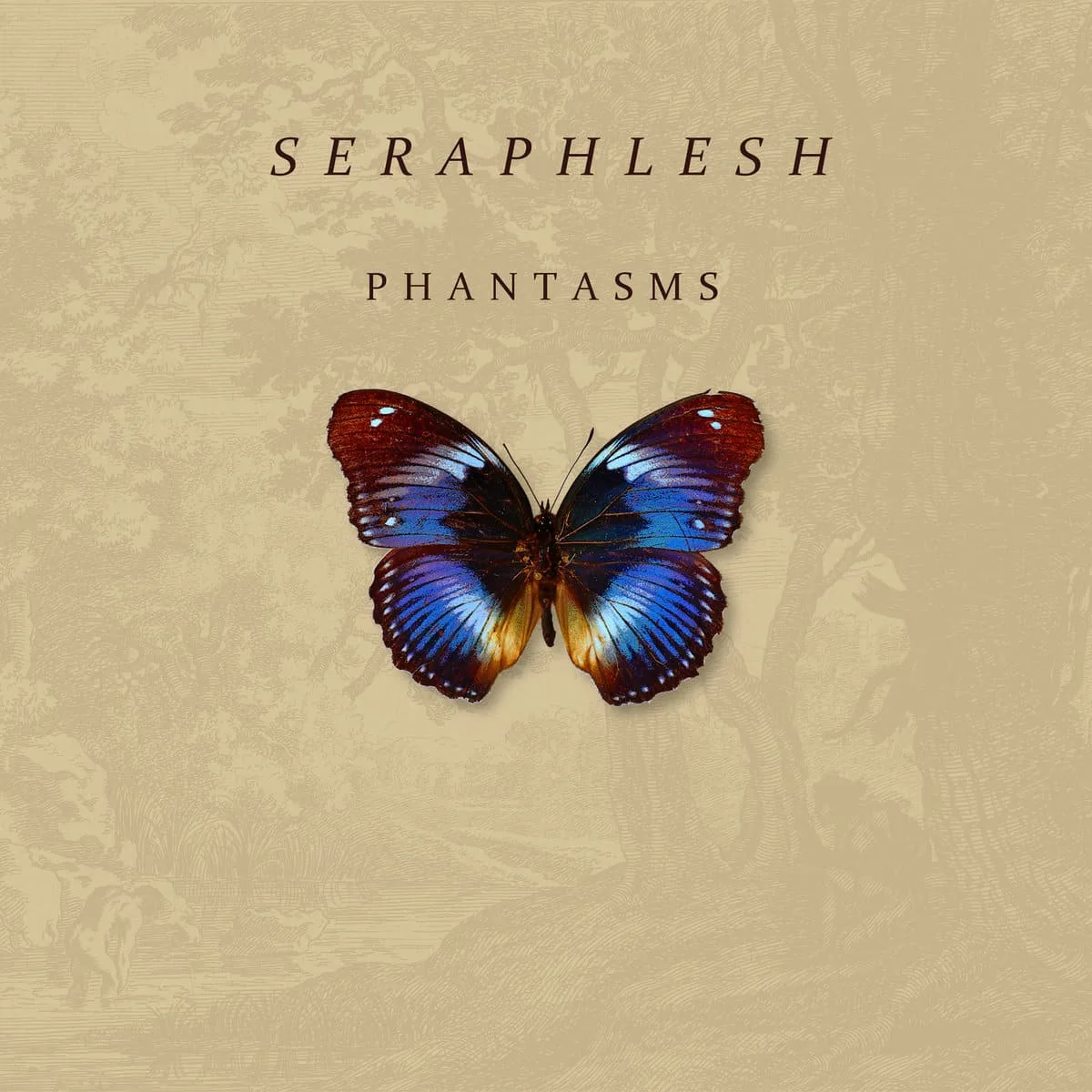 Phantasms cover