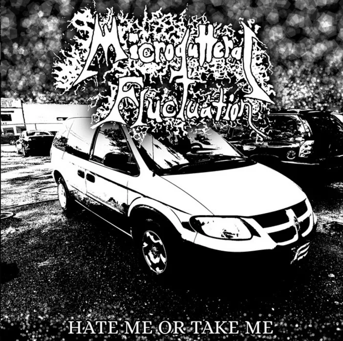 Hate Me or Take Me cover