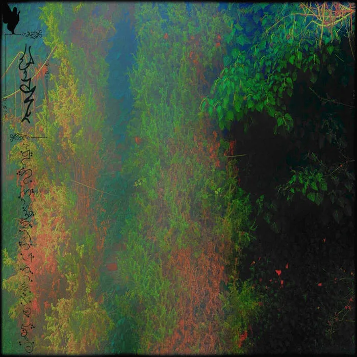Qühtærewkqúⵄ cover