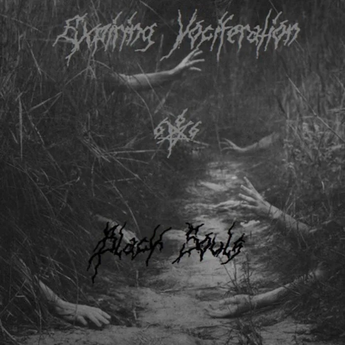 Black Souls cover