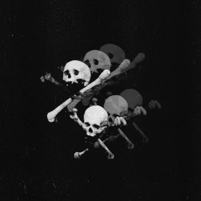 Endless Raids cover