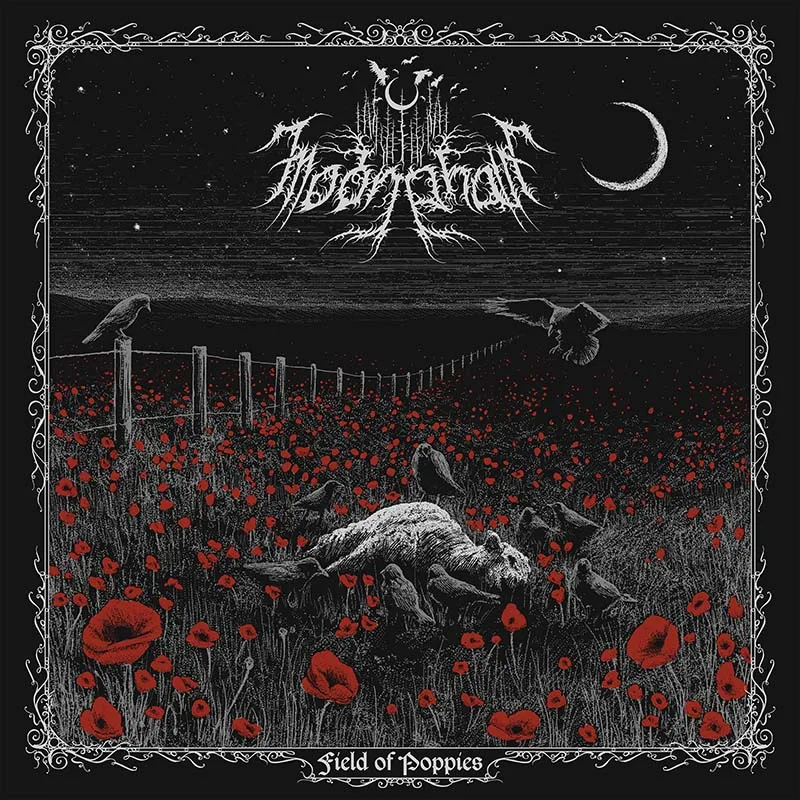 Field of Poppies cover
