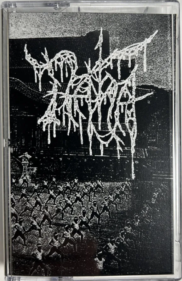 Voiding into the Scream cover