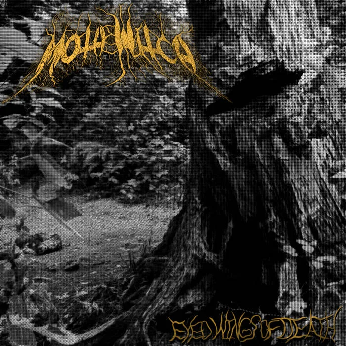 Eyed Wings of Death cover