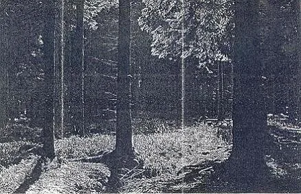Promo cover