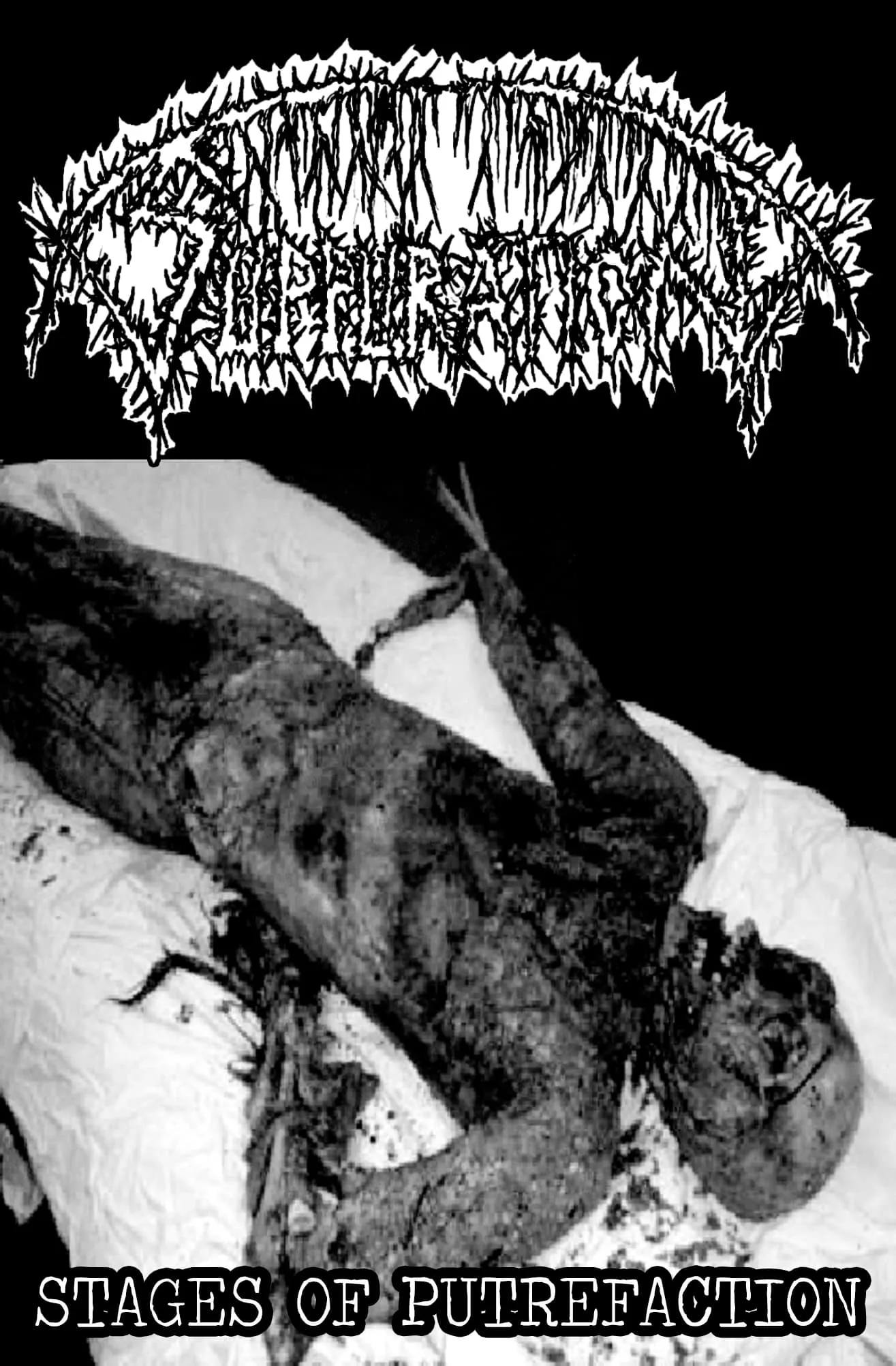 Stages of Putrefaction cover