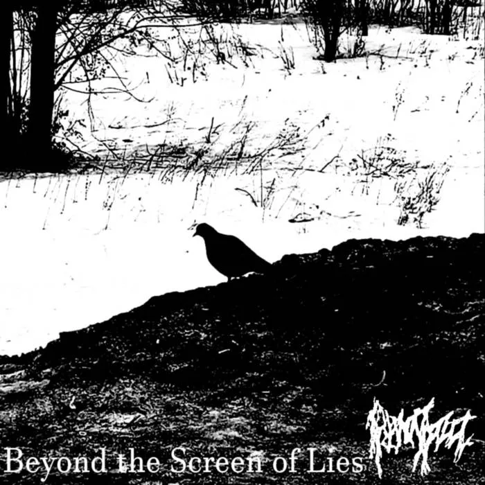 Beyond the Screen of Lies cover