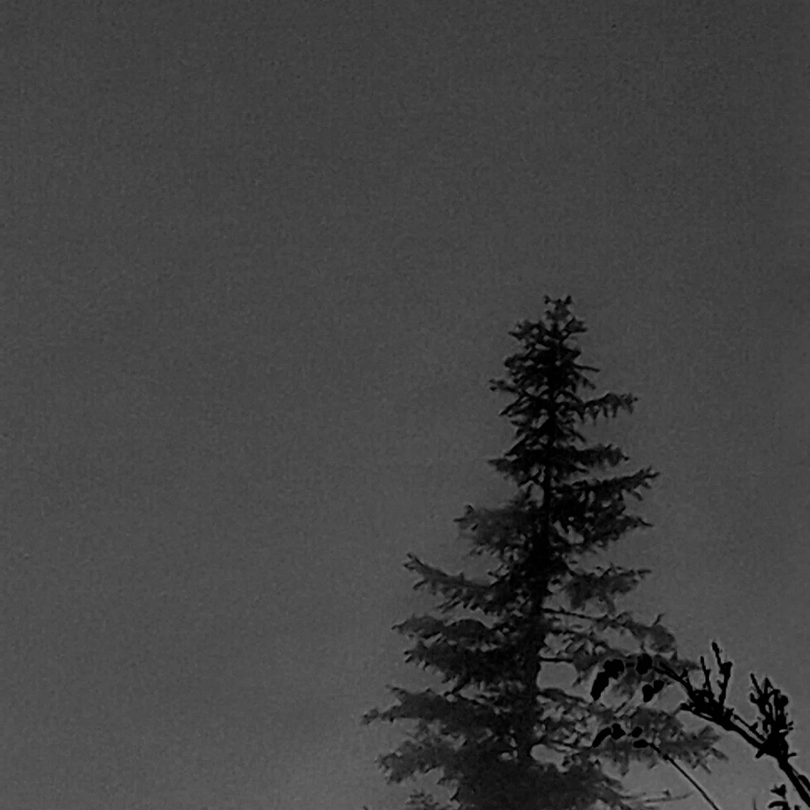 Winterdark cover