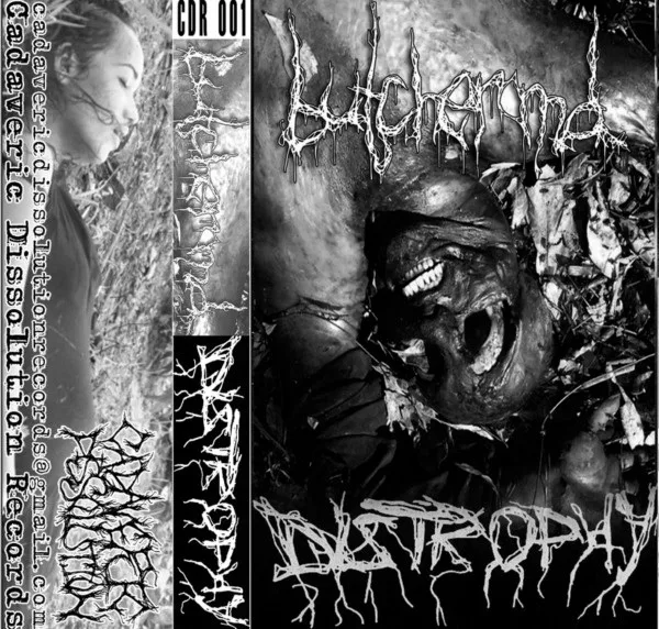 Fistulating Malodorous Mass / Visceral World cover