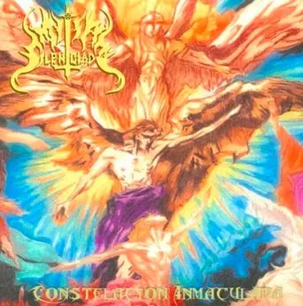 Constelacion inmaculada cover