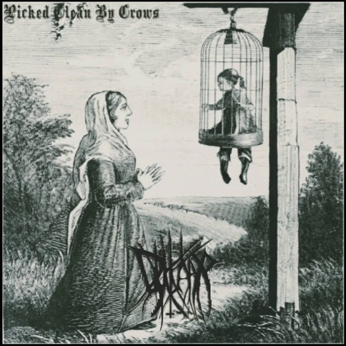 Picked Clean by Crows cover