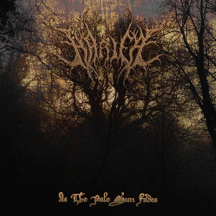 As the Pale Sun Fades cover