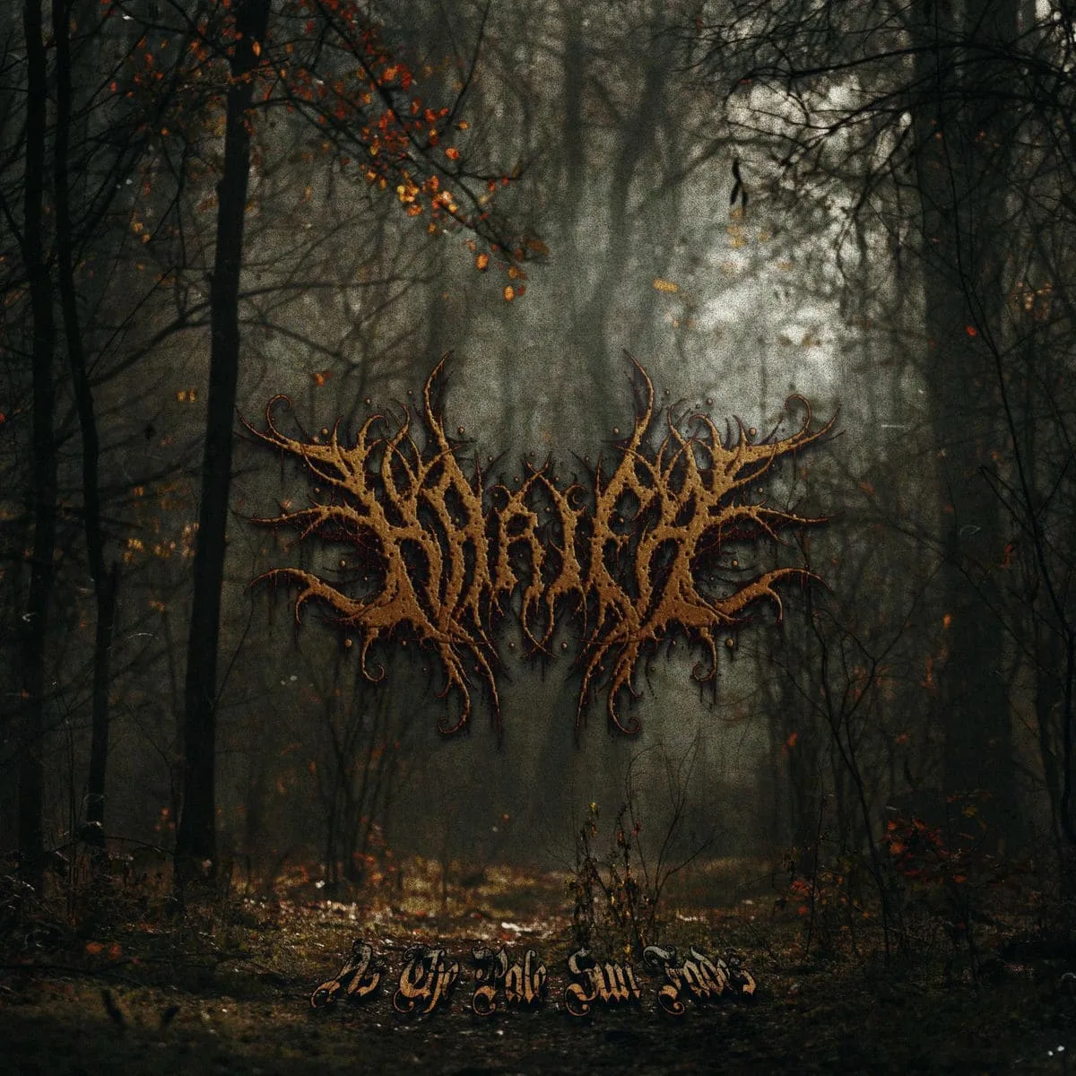 As the Pale Sun Fades cover