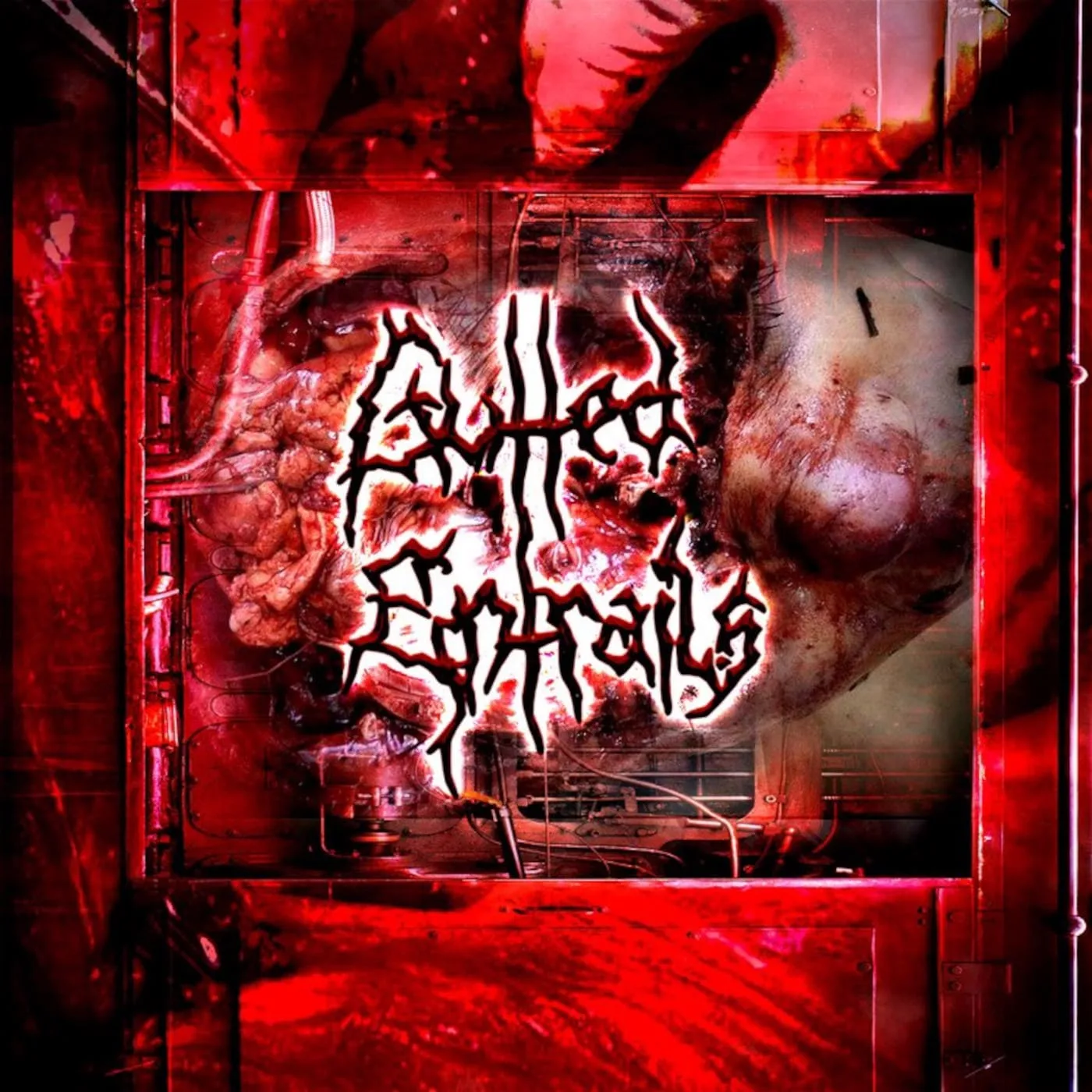 Gutted Entrails cover