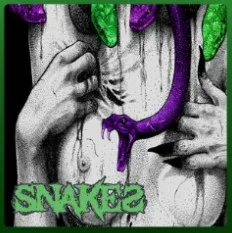 The Wicked Ones cover