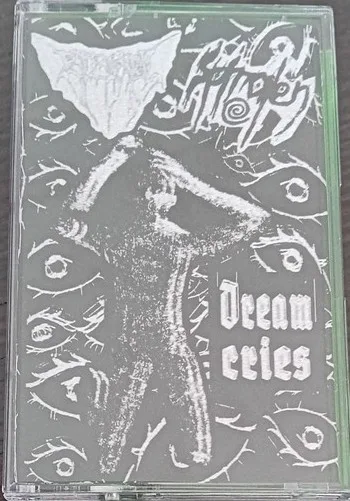 Dream Cries cover