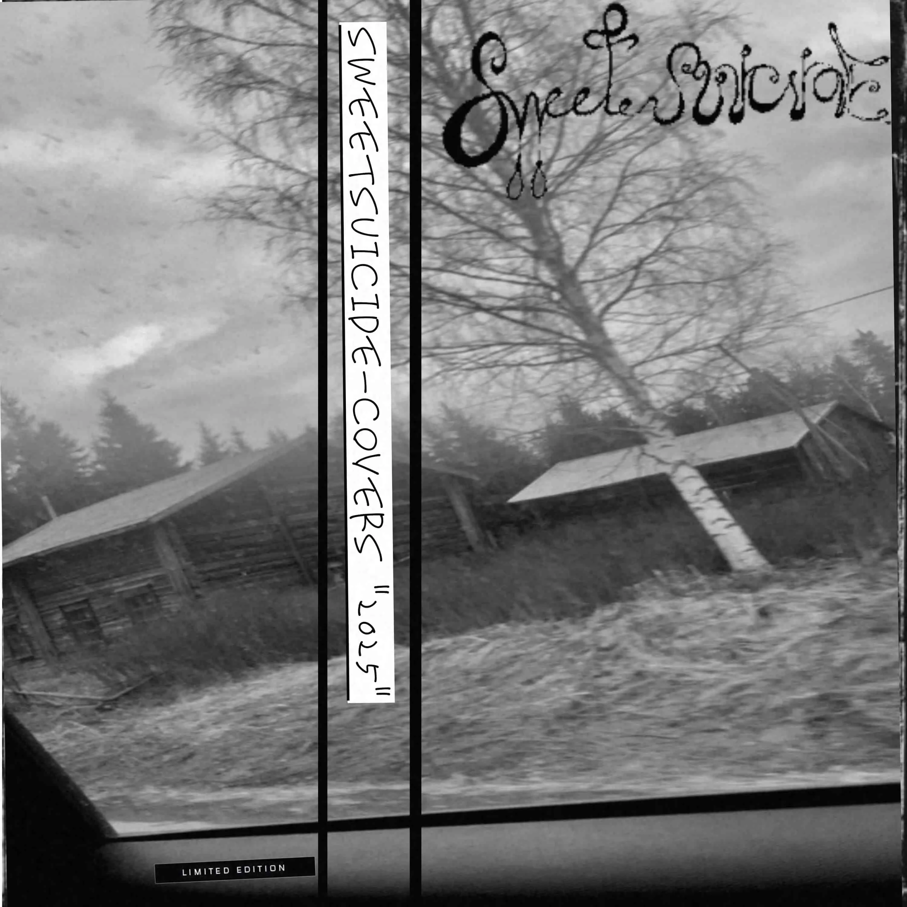 Alkohol (Apati Cover) (Live) cover