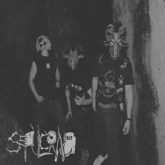 Fatal cover