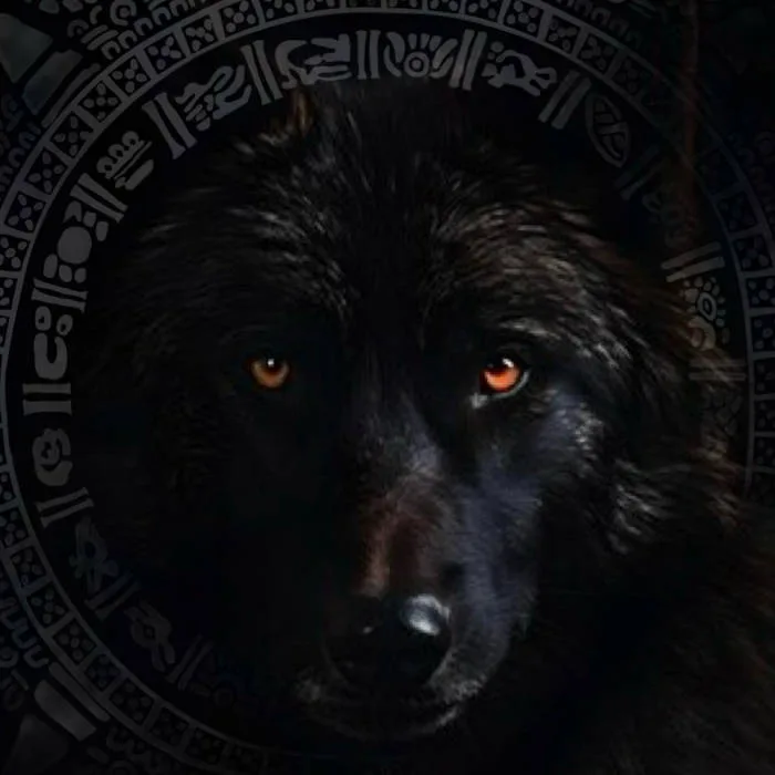 Into the Den of the Yellow Eyes That Linger cover