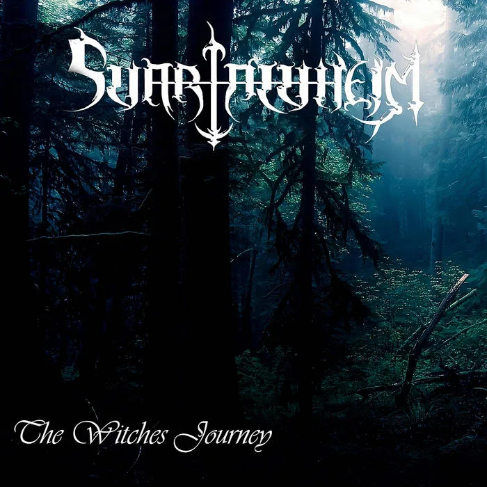 The Witches Journey cover