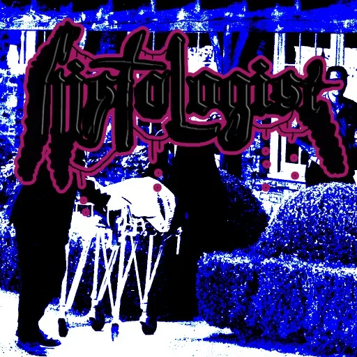 Analog Evildoer cover