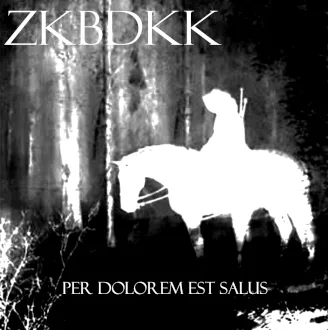 Per Dolorem Est Salus cover