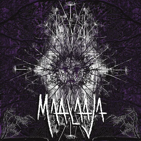 Maalaaja cover