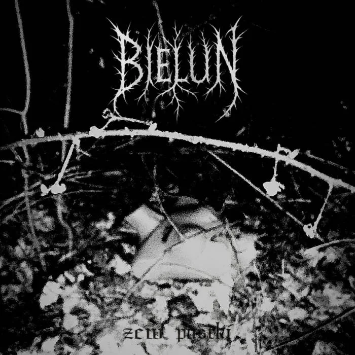 Zew pustki cover