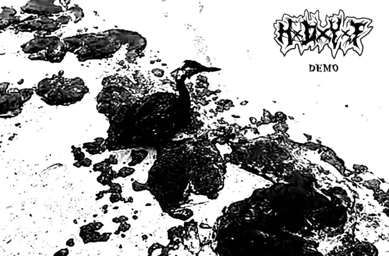 Demo cover
