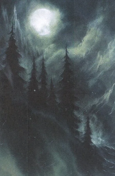 Ablaze Above the Forest cover