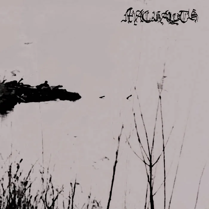 Opening Meager Gates cover