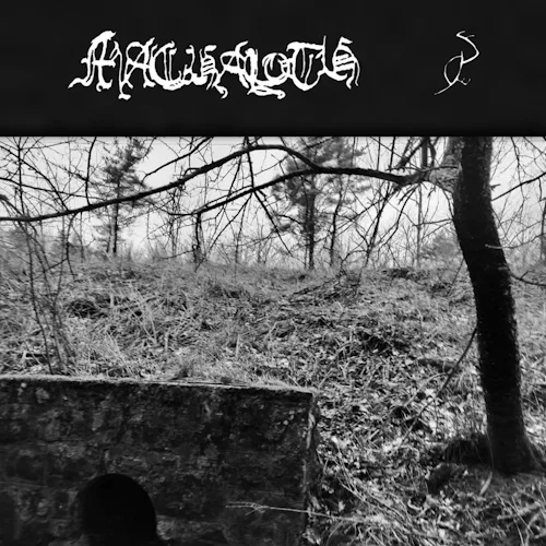 A Rough Account of What was Seen cover