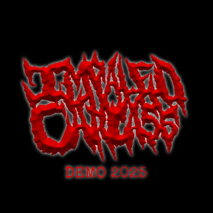 Demo 2025 cover